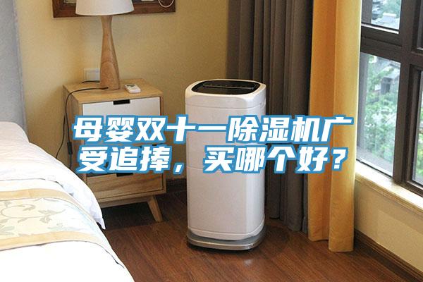 母嬰雙十一除濕機廣受追捧，買哪個好？