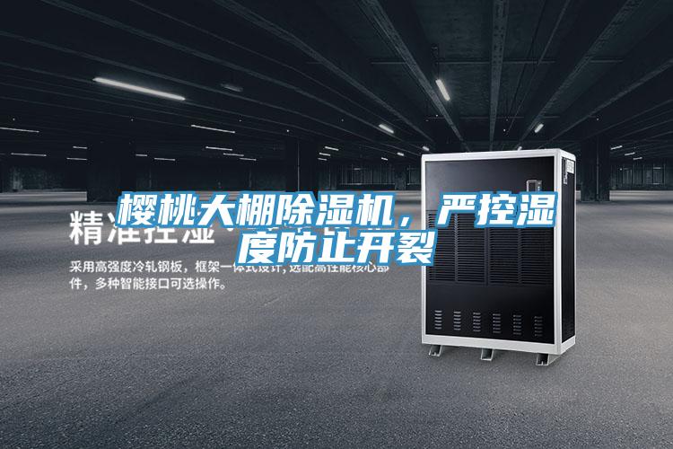櫻桃大棚除濕機，嚴控濕度防止開裂