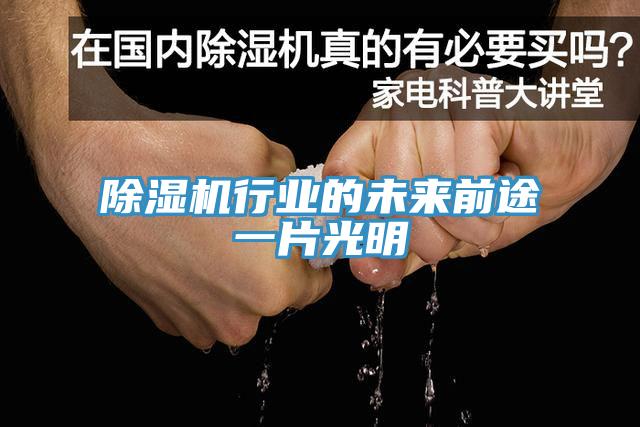 除濕機行業的未來前途一片光明