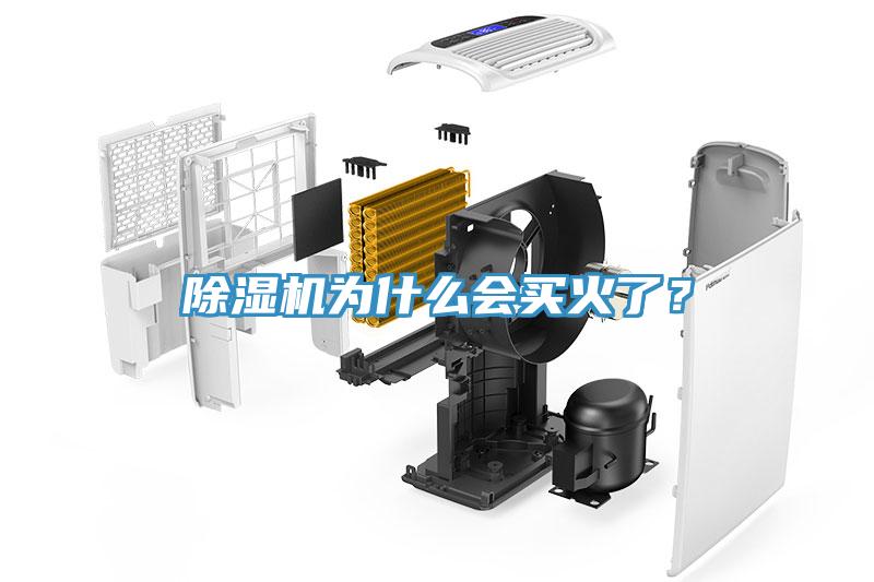除濕機為什么會買火了？