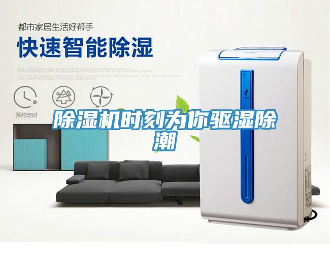除濕機(jī)時(shí)刻為你驅(qū)濕除潮