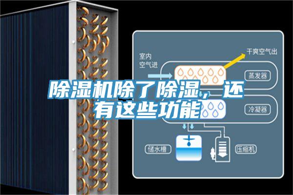 除濕機(jī)除了除濕，還有這些功能