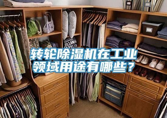 轉輪除濕機在工業領域用途有哪些？