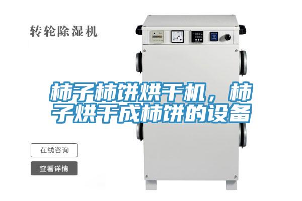 柿子柿餅烘干機(jī)，柿子烘干成柿餅的設(shè)備