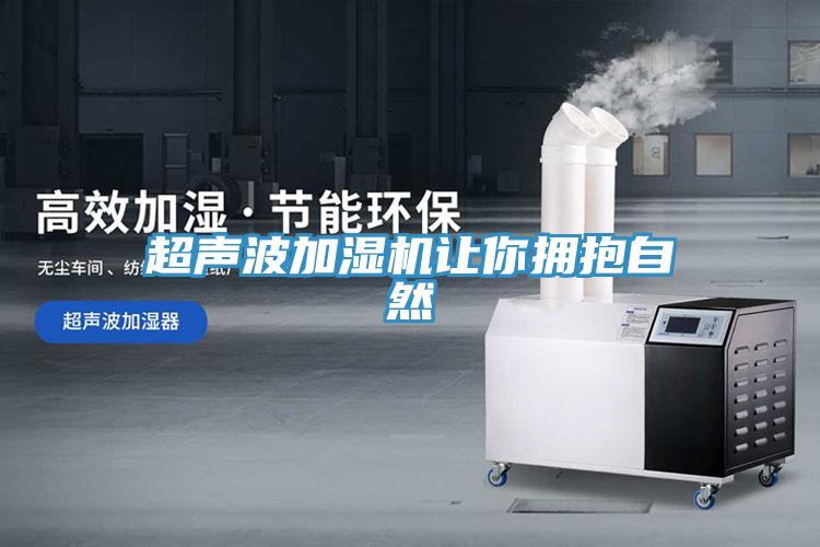 超聲波加濕機讓你擁抱自然