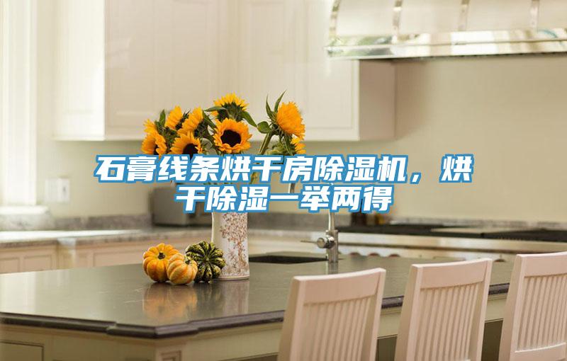 石膏線條烘干房除濕機，烘干除濕一舉兩得