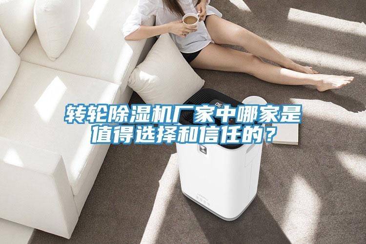 轉(zhuǎn)輪除濕機(jī)廠家中哪家是值得選擇和信任的？