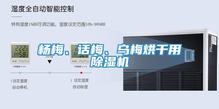 楊梅、話梅、烏梅烘干用除濕機(jī)