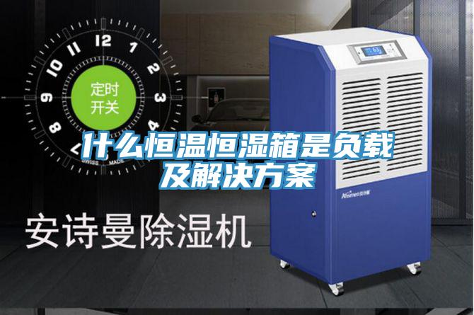 什么恒溫恒濕箱是負載及解決方案