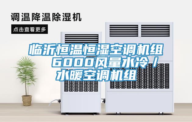 臨沂恒溫恒濕空調機組  6000風量水冷／水暖空調機組