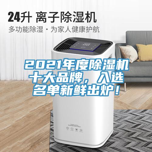 2021年度除濕機十大品牌，入選名單新鮮出爐！