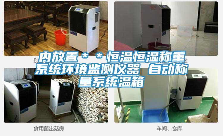 內(nèi)放置＊＊恒溫恒濕稱(chēng)重系統(tǒng)環(huán)境監(jiān)測(cè)儀器 自動(dòng)稱(chēng)量系統(tǒng)溫箱