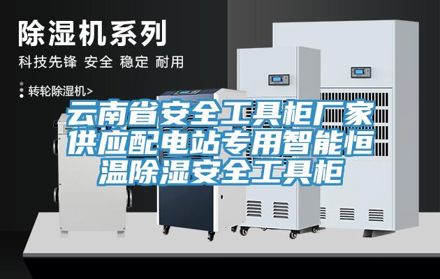 云南省安全工具柜廠家供應配電站專用智能恒溫除濕安全工具柜