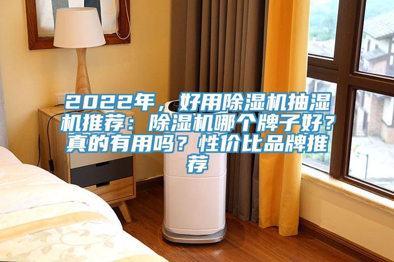 2022年，好用除濕機(jī)抽濕機(jī)推薦：除濕機(jī)哪個(gè)牌子好？真的有用嗎？性價(jià)比品牌推薦