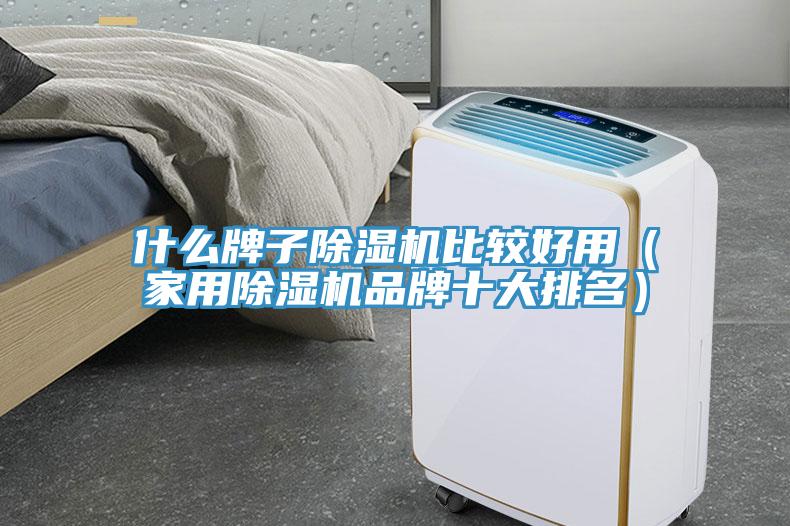 什么牌子除濕機比較好用（家用除濕機品牌十大排名）