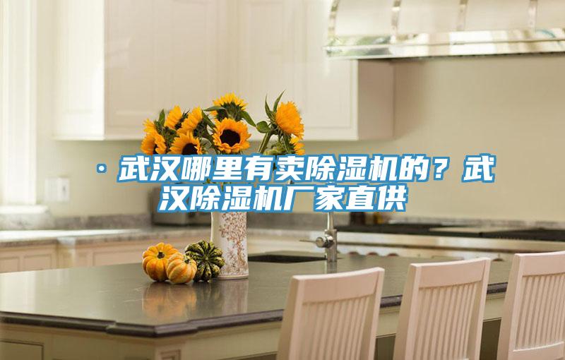 ·武漢哪里有賣(mài)除濕機(jī)的？武漢除濕機(jī)廠家直供