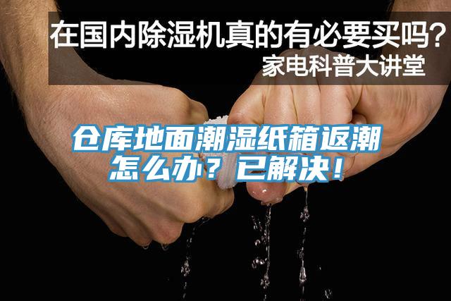 倉庫地面潮濕紙箱返潮怎么辦？已解決！