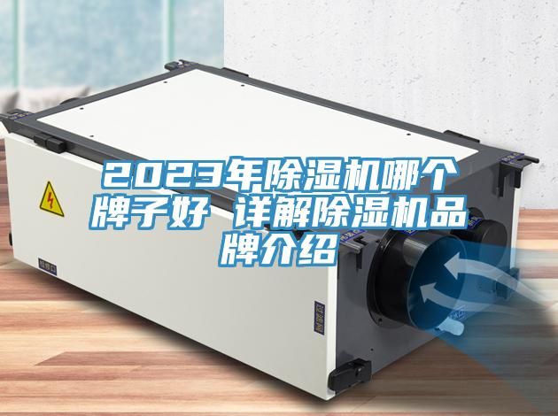 2023年除濕機(jī)哪個(gè)牌子好 詳解除濕機(jī)品牌介紹