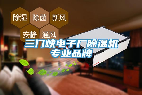 三門峽電子廠除濕機專業品牌