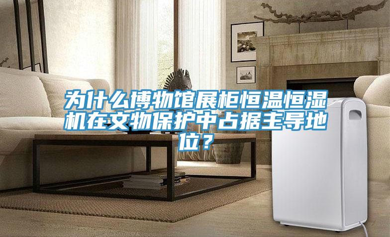 為什么博物館展柜恒溫恒濕機在文物保護中占據主導地位？