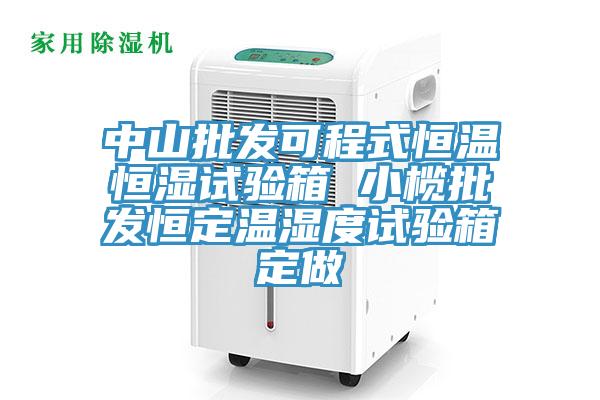 中山批發可程式恒溫恒濕試驗箱 小欖批發恒定溫濕度試驗箱定做