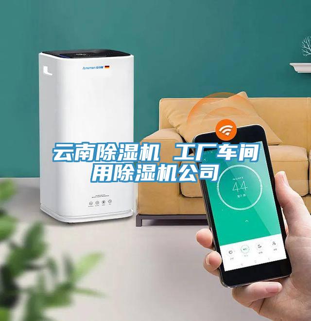 云南除濕機 工廠車間用除濕機公司