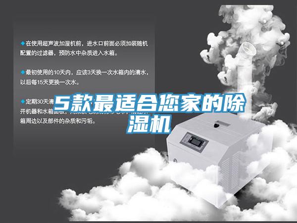 5款最適合您家的除濕機
