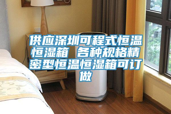 供應深圳可程式恒溫恒濕箱 各種規(guī)格精密型恒溫恒濕箱可訂做