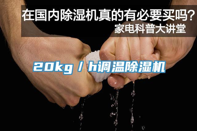 20kg／h調(diào)溫除濕機(jī)