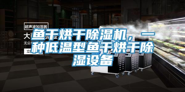 魚干烘干除濕機，一種低溫型魚干烘干除濕設(shè)備
