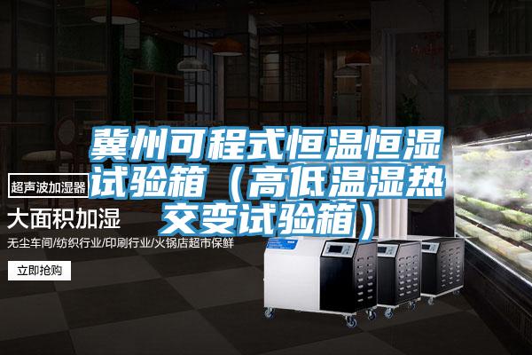 冀州可程式恒溫恒濕試驗(yàn)箱（高低溫濕熱交變?cè)囼?yàn)箱）