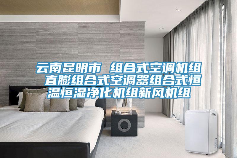 云南昆明市 組合式空調機組 直膨組合式空調器組合式恒溫恒濕凈化機組新風機組
