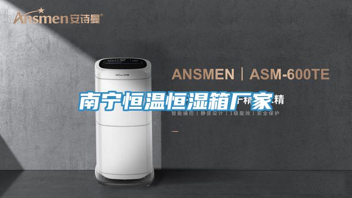 南寧恒溫恒濕箱廠家