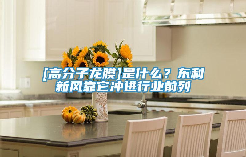 [高分子龍膜]是什么？東利新風(fēng)靠它沖進(jìn)行業(yè)前列