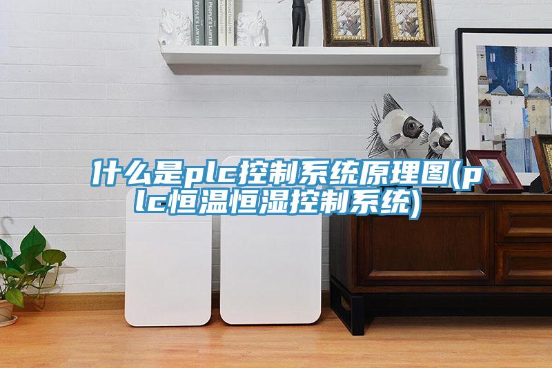 什么是plc控制系統(tǒng)原理圖(plc恒溫恒濕控制系統(tǒng))
