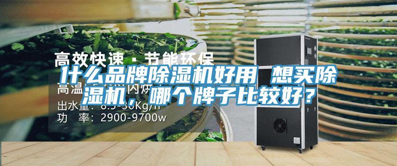 什么品牌除濕機(jī)好用 想買除濕機(jī)，哪個(gè)牌子比較好？
