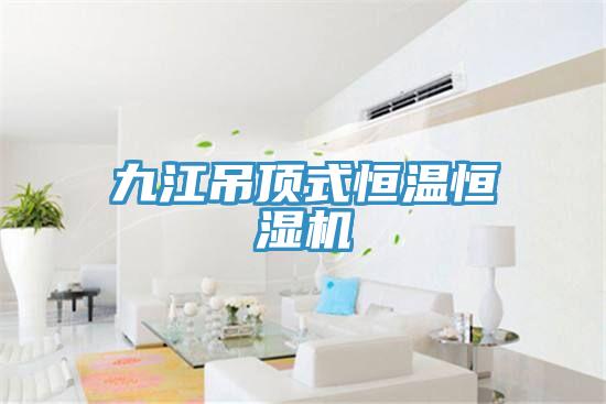 九江吊頂式恒溫恒濕機(jī)