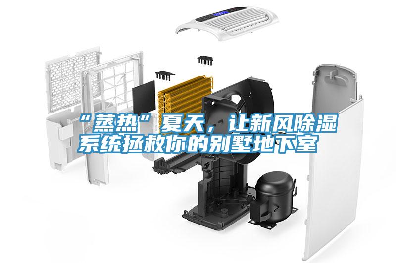 “蒸熱”夏天，讓新風(fēng)除濕系統(tǒng)拯救你的別墅地下室