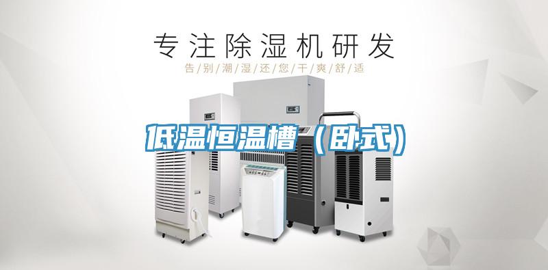 低溫恒溫槽(臥式)