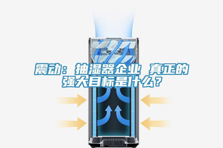 震動：抽濕器企業 真正的強大目標是什么？