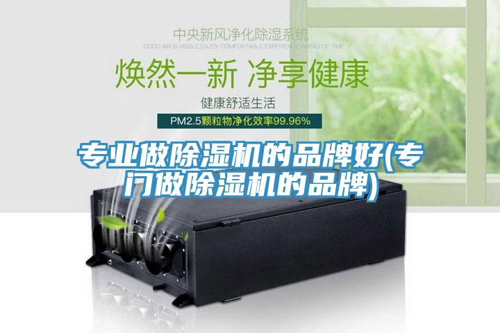 專業做除濕機的品牌好(專門做除濕機的品牌)