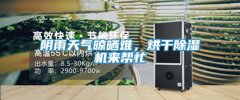 陰雨天氣晾曬難，烘干除濕機來幫忙