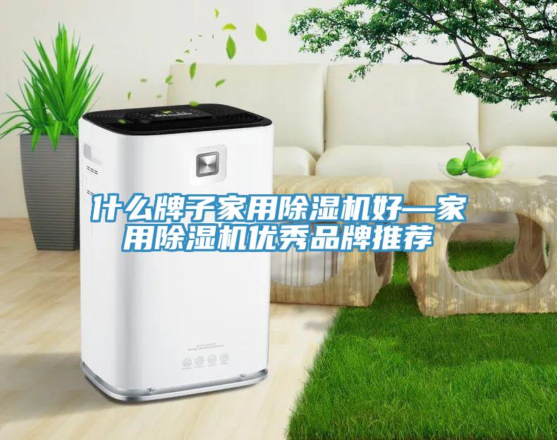 什么牌子家用除濕機好—家用除濕機優秀品牌推薦