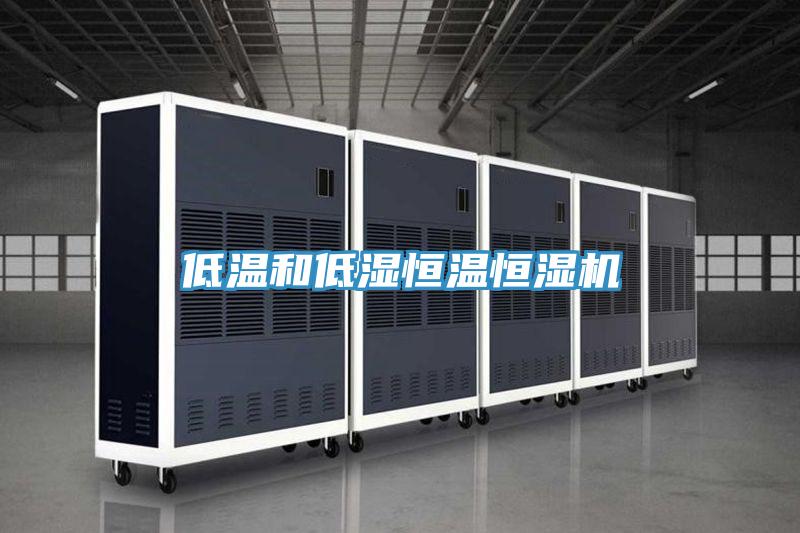 低溫和低濕恒溫恒濕機(jī)