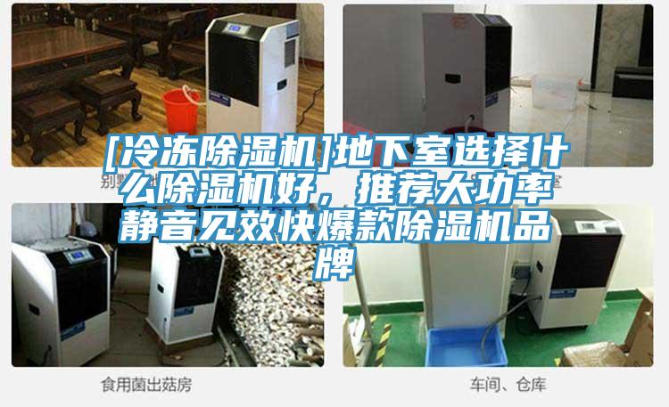 [冷凍除濕機(jī)]地下室選擇什么除濕機(jī)好，推薦大功率靜音見效快爆款除濕機(jī)品牌
