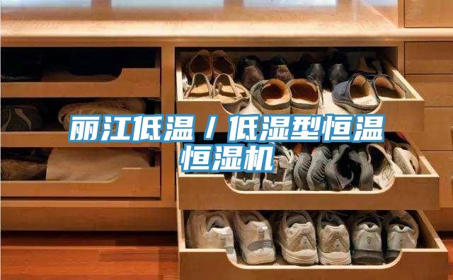 麗江低溫／低濕型恒溫恒濕機(jī)