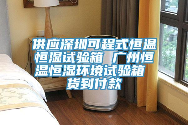 供應深圳可程式恒溫恒濕試驗箱 廣州恒溫恒濕環(huán)境試驗箱 貨到付款