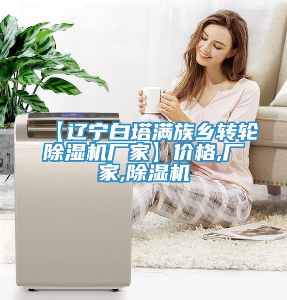 【遼寧白塔滿族鄉轉輪除濕機廠家】價格,廠家,除濕機