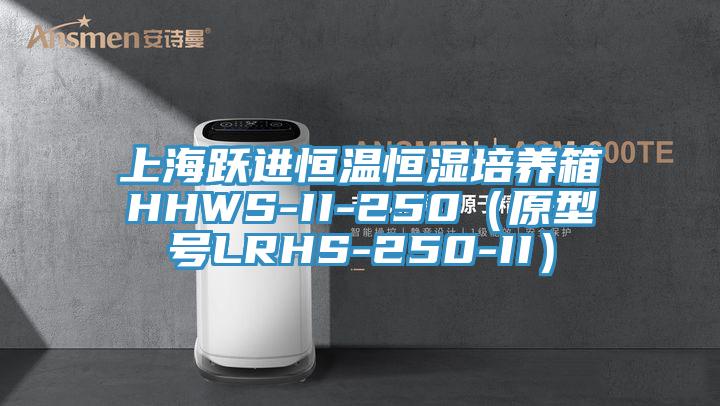 上海躍進恒溫恒濕培養箱HHWS-II-250（原型號LRHS-250-II）