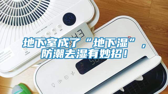 地下室成了“地下濕”，防潮去濕有妙招！
